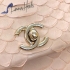 Chanel Bag 198 snake